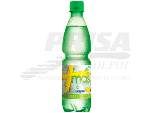 AGUA FRUTAL 500 CC CACHANTUN MAS CITRICA
