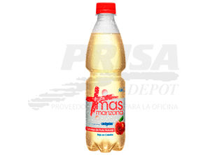 AGUA FRUTAL 500 CC CACHANTUN MAS MANZANA