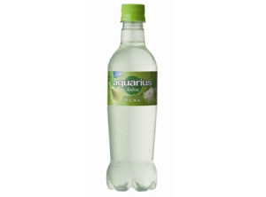 AGUA FRUTAL 500 CC AQUARIUS ANDINA PERA